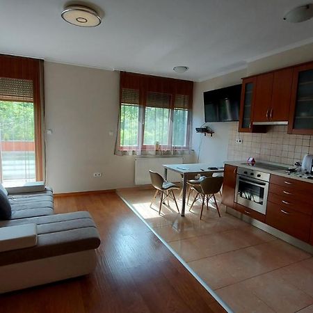 Sunny Loft Kecskemet Διαμέρισμα Εξωτερικό φωτογραφία