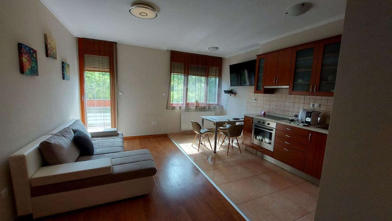 Sunny Loft Kecskemet Διαμέρισμα Εξωτερικό φωτογραφία